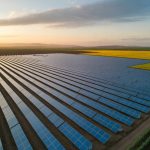 Les agrivoltaïques : produire de l’énergie tout en cultivant