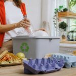 Blog ecologie : comment adopter des gestes simples pour agir au quotidien